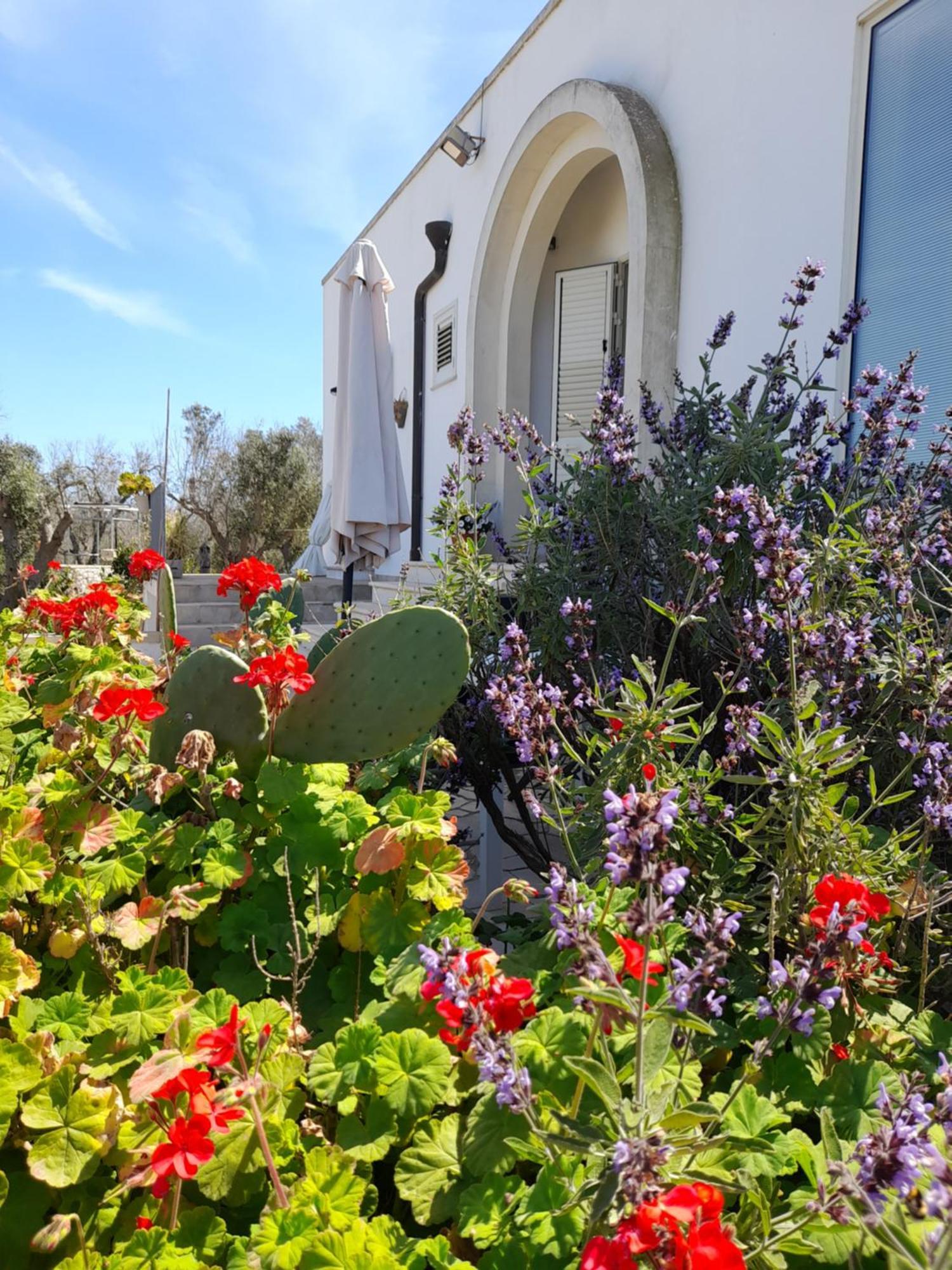 Tenuta Valle Dell Idro Otranto Con Piscina Casamassella ภายนอก รูปภาพ