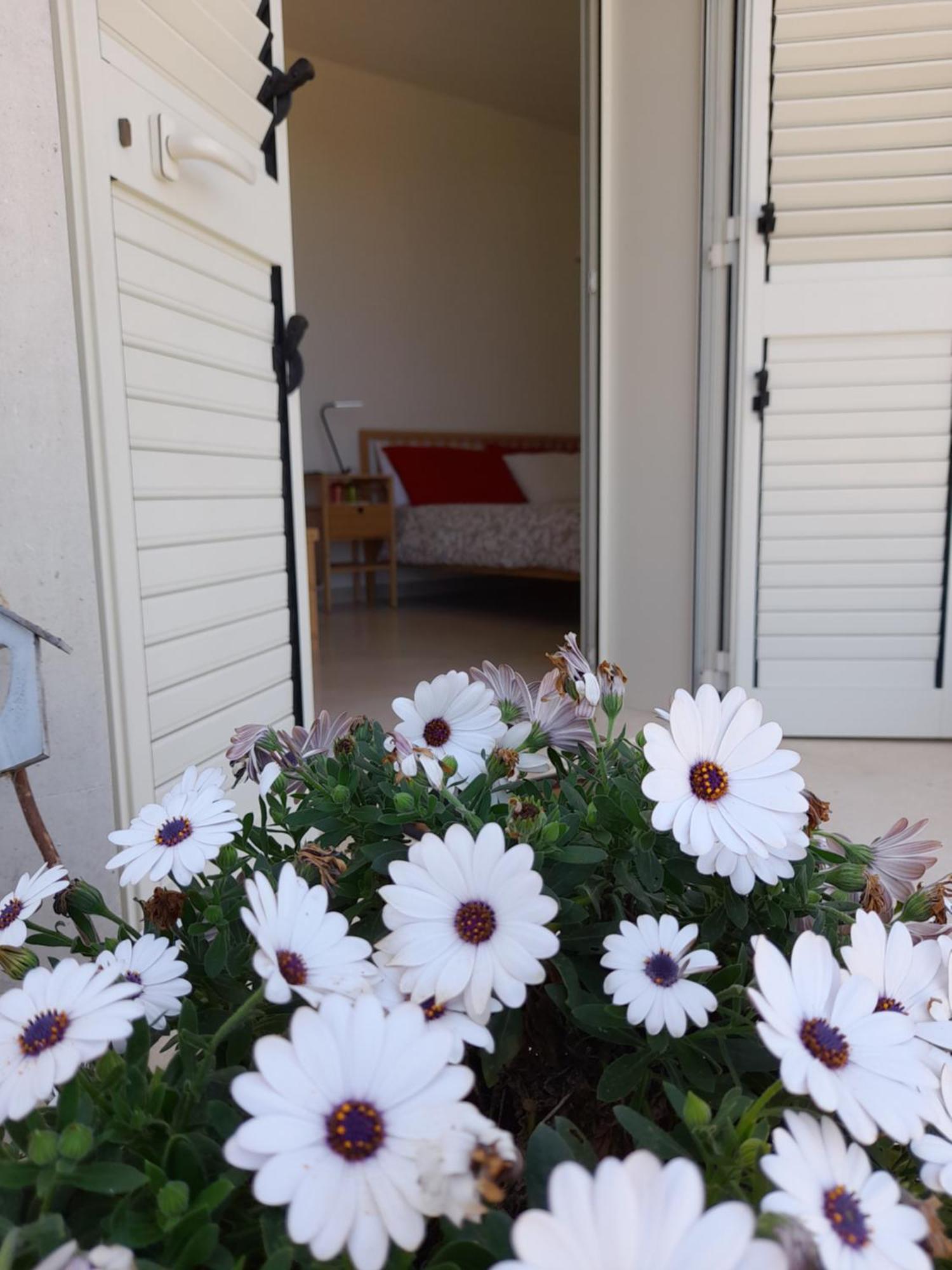 Tenuta Valle Dell Idro Otranto Con Piscina Casamassella ภายนอก รูปภาพ