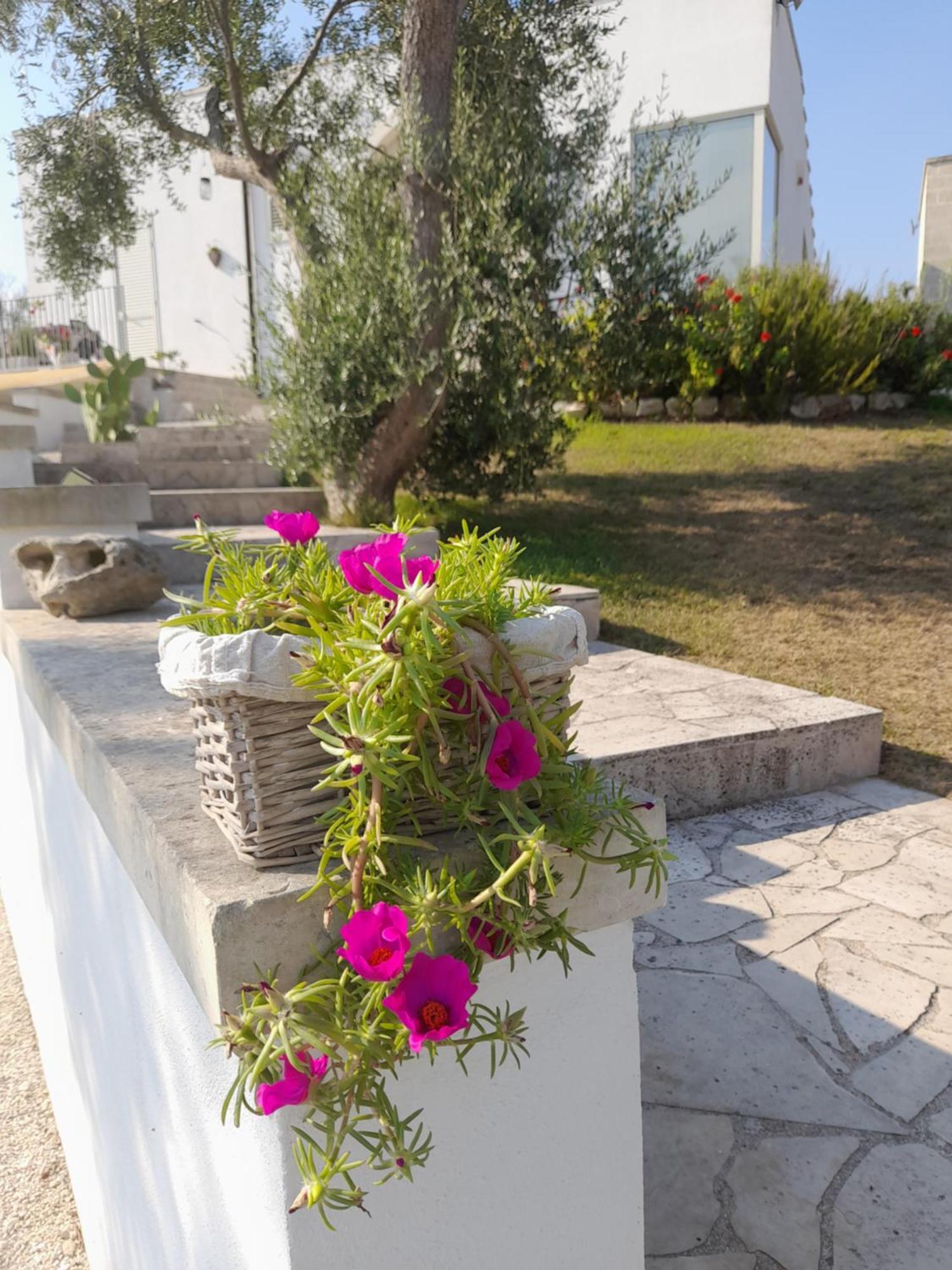 Tenuta Valle Dell Idro Otranto Con Piscina Casamassella ภายนอก รูปภาพ